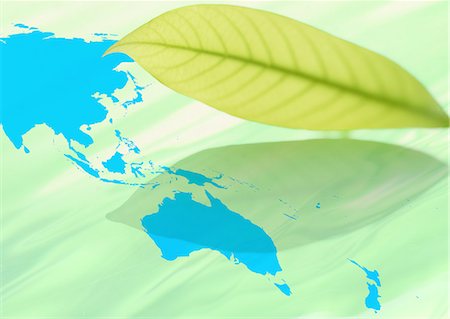 simsearch:670-04249663,k - Carte du monde et une feuille Photographie de stock - Premium Libres de Droits, Code: 670-06449997