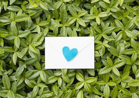 envelope (package) - Love letter on leaves Stock Photo - Premium Royalty-Free, Code: 670-06450094