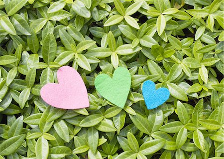 simsearch:670-06450374,k - Feuilles et feutre en forme de coeur Photographie de stock - Premium Libres de Droits, Code: 670-06450103