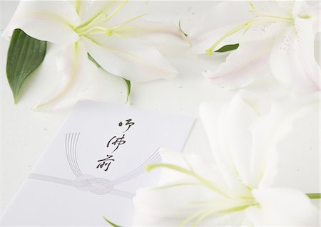 simsearch:670-06450168,k - Lilies and a condolence-money envelop (Mourning image) Foto de stock - Sin royalties Premium, Código: 670-06450156