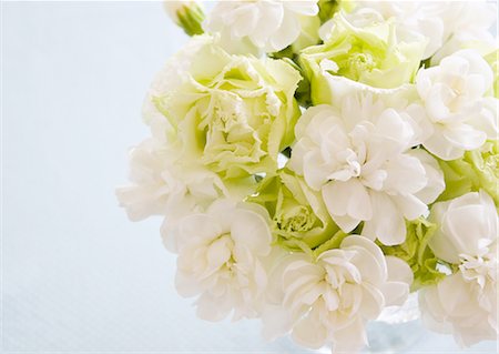 Flower bouquet Stock Photo - Premium Royalty-Free, Code: 670-06450334