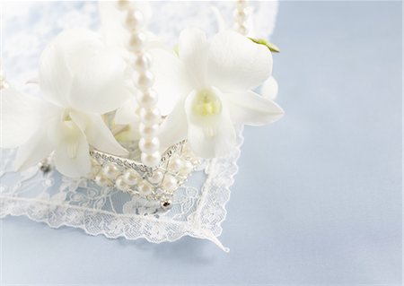 simsearch:670-06450369,k - Dendrobium Phalaenopsis Photographie de stock - Premium Libres de Droits, Code: 670-06450336