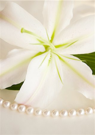perle - Lis et perles Photographie de stock - Premium Libres de Droits, Code: 670-06450337