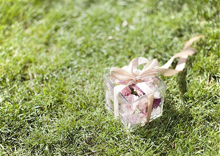 Glass box tied with a ribbon Stock Photo - Premium Royalty-Free, Code: 670-06450834