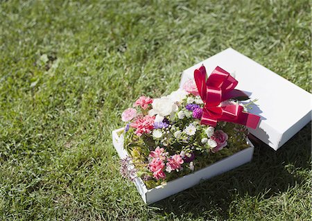 Flower arrangement in a gift box Stock Photo - Premium Royalty-Free, Code: 670-06450831