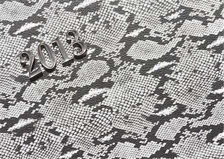 snake - 2013 image, Snake skin pattern Stock Photo - Premium Royalty-Free, Code: 670-06450851