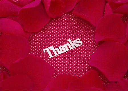 Petals and a word "Thanks" Foto de stock - Sin royalties Premium, Código: 670-06451126