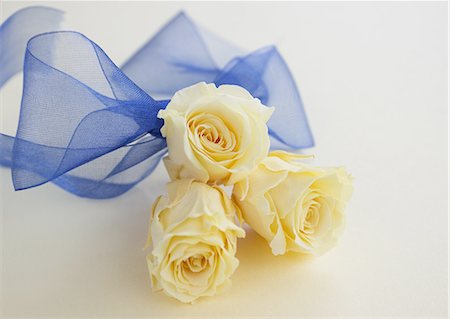 Yellow roses Stock Photo - Premium Royalty-Free, Code: 670-06451569