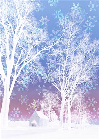 Trees and snow crystals, CG Stock Photo - Premium Royalty-Free, Code: 670-06451582