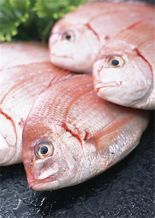 simsearch:670-02108045,k - Brème de mer Photographie de stock - Premium Libres de Droits, Code: 670-02108008