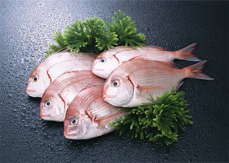 simsearch:670-02108045,k - Brème de mer Photographie de stock - Premium Libres de Droits, Code: 670-02108009