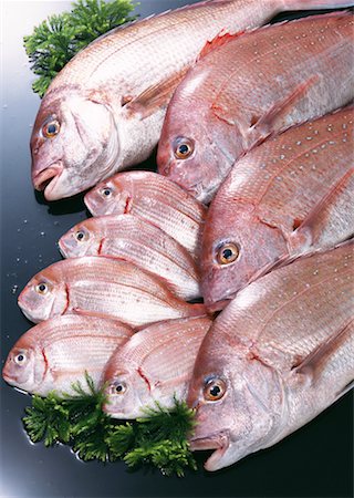 simsearch:670-02108045,k - Brème de mer Photographie de stock - Premium Libres de Droits, Code: 670-02108010