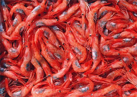 simsearch:670-02109950,k - Crevettes aux oeufs Photographie de stock - Premium Libres de Droits, Code: 670-02108035