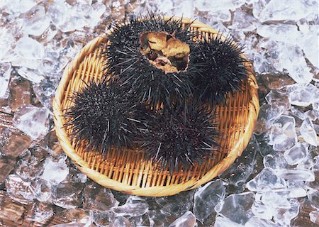 simsearch:670-02108045,k - Sea Urchin Photographie de stock - Premium Libres de Droits, Code: 670-02108038