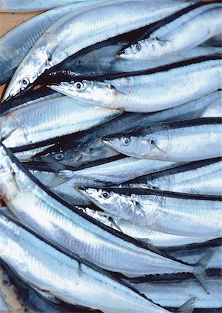 simsearch:670-02108045,k - Saury Photographie de stock - Premium Libres de Droits, Code: 670-02108055