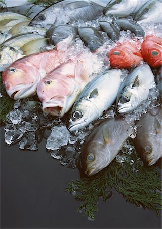 simsearch:670-02108199,k - Fishery Products Foto de stock - Sin royalties Premium, Código: 670-02108052