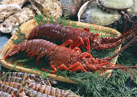 simsearch:670-02108042,k - Produits de la pêche Photographie de stock - Premium Libres de Droits, Code: 670-02108079