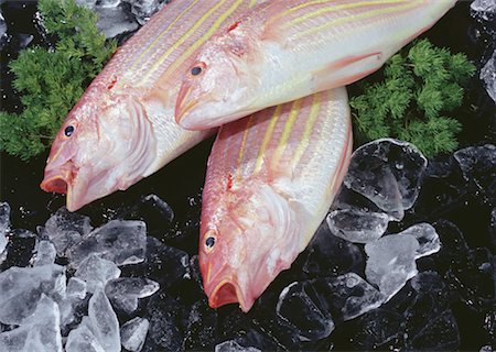 simsearch:670-02108045,k - Golden Threadfin Bream Photographie de stock - Premium Libres de Droits, Code: 670-02108072