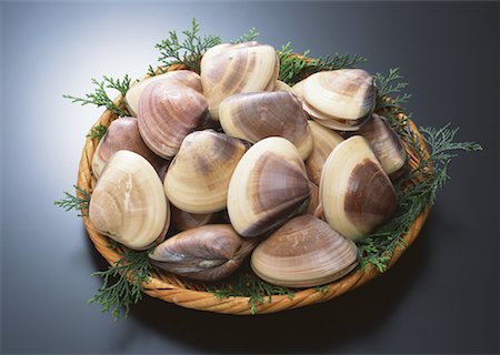 simsearch:670-02108042,k - Asiatic Clam Shell dur Photographie de stock - Premium Libres de Droits, Code: 670-02108097