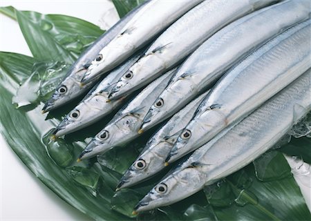 simsearch:670-02108199,k - Saury Foto de stock - Sin royalties Premium, Código: 670-02108116