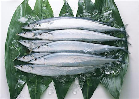 simsearch:670-02108199,k - Saury Foto de stock - Sin royalties Premium, Código: 670-02108117