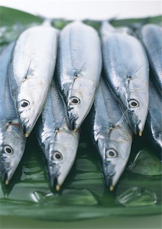 simsearch:670-02108199,k - Saury Foto de stock - Sin royalties Premium, Código: 670-02108118