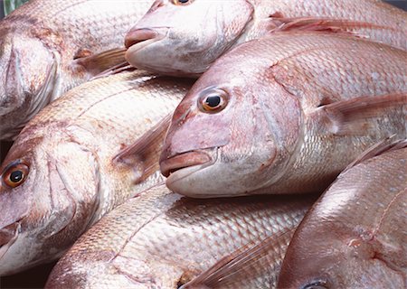 simsearch:670-02108199,k - Red Sea Bream Foto de stock - Sin royalties Premium, Código: 670-02108124
