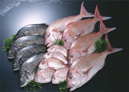 simsearch:670-02108045,k - Produits de la pêche Photographie de stock - Premium Libres de Droits, Code: 670-02108125