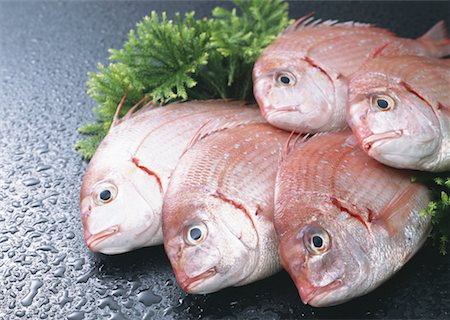 simsearch:670-02108113,k - Brème de mer Photographie de stock - Premium Libres de Droits, Code: 670-02108126