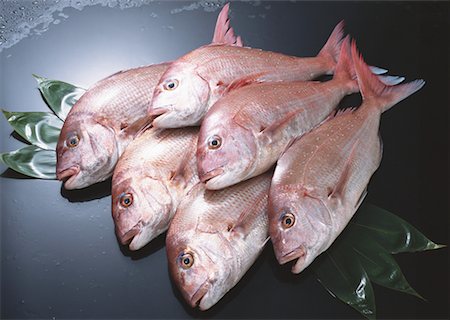 simsearch:670-02108199,k - Red Sea Bream Foto de stock - Sin royalties Premium, Código: 670-02108128