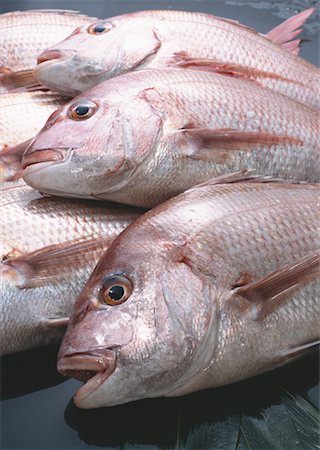 simsearch:670-02109950,k - Brème de mer Photographie de stock - Premium Libres de Droits, Code: 670-02108129
