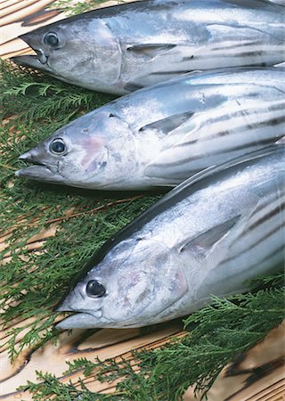 simsearch:670-02108045,k - Bonito Photographie de stock - Premium Libres de Droits, Code: 670-02108120