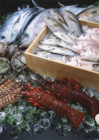 Fishery Products Stock Photo - Premium Royalty-Free, Code: 670-02108134