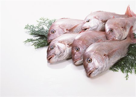 simsearch:670-02108199,k - Red Sea Bream Foto de stock - Sin royalties Premium, Código: 670-02108130