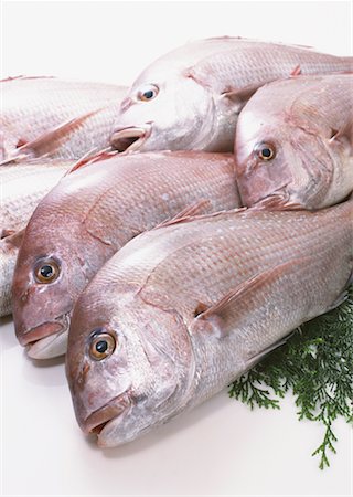 simsearch:670-02109950,k - Brème de mer Photographie de stock - Premium Libres de Droits, Code: 670-02108131