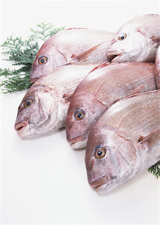 simsearch:670-02109950,k - Brème de mer Photographie de stock - Premium Libres de Droits, Code: 670-02108132
