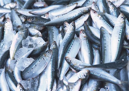 simsearch:670-02109950,k - Sardine Photographie de stock - Premium Libres de Droits, Code: 670-02108142