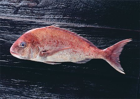 simsearch:670-02108045,k - Brème de mer Photographie de stock - Premium Libres de Droits, Code: 670-02108162