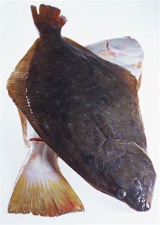 simsearch:670-02108199,k - Flatfish Foto de stock - Sin royalties Premium, Código: 670-02108174