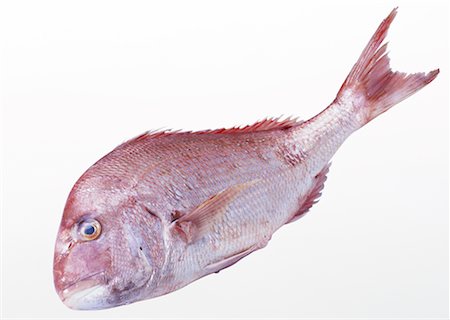 simsearch:670-02108199,k - Red Sea Bream Foto de stock - Sin royalties Premium, Código: 670-02108176
