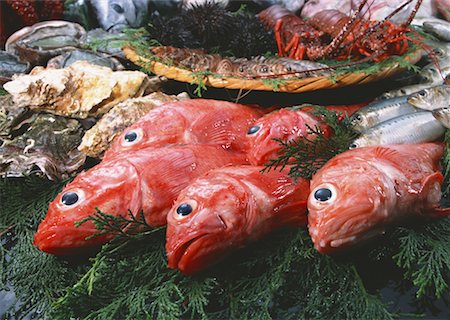 simsearch:670-02109950,k - Produits de la pêche Photographie de stock - Premium Libres de Droits, Code: 670-02108189