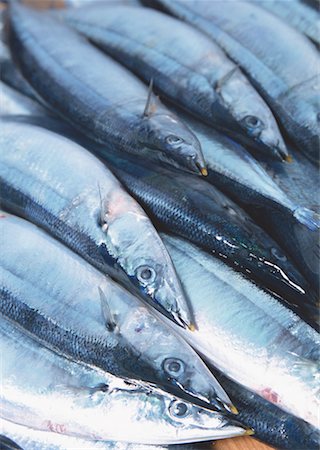 simsearch:670-02109950,k - Saury Photographie de stock - Premium Libres de Droits, Code: 670-02108198