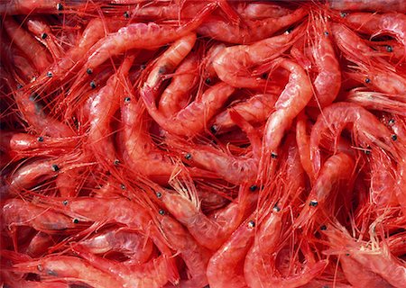 simsearch:670-02109950,k - Crevettes Photographie de stock - Premium Libres de Droits, Code: 670-02108193