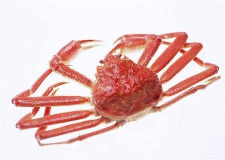 simsearch:670-02109950,k - Crabe des neiges Photographie de stock - Premium Libres de Droits, Code: 670-02108207