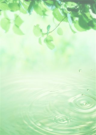 12,800+ Water Ripple Green Drop Stock Photos, Pictures & Royalty