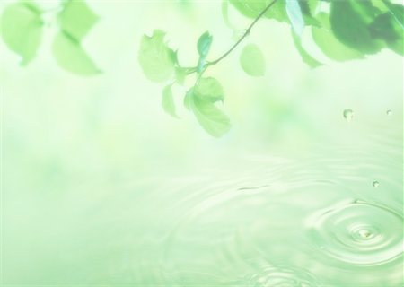 12,800+ Water Ripple Green Drop Stock Photos, Pictures & Royalty-Free  Images - iStock, water drop 