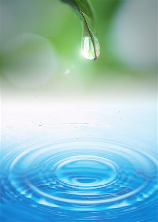 pastel - Water drop and rippling water Stock Photo - Premium Royalty-Free, Code: 670-02116956