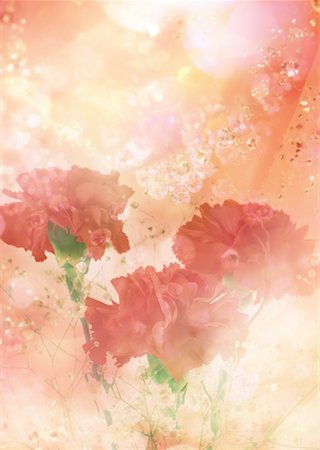 Flowers Stock Photo - Premium Royalty-Free, Code: 670-02118031