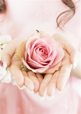 simsearch:670-06450399,k - Roses Foto de stock - Sin royalties Premium, Código: 670-02118398