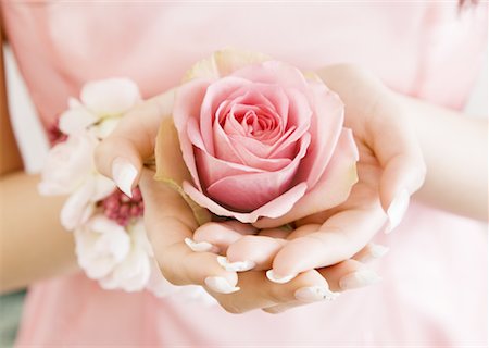 simsearch:670-06450399,k - Roses Foto de stock - Sin royalties Premium, Código: 670-02118399